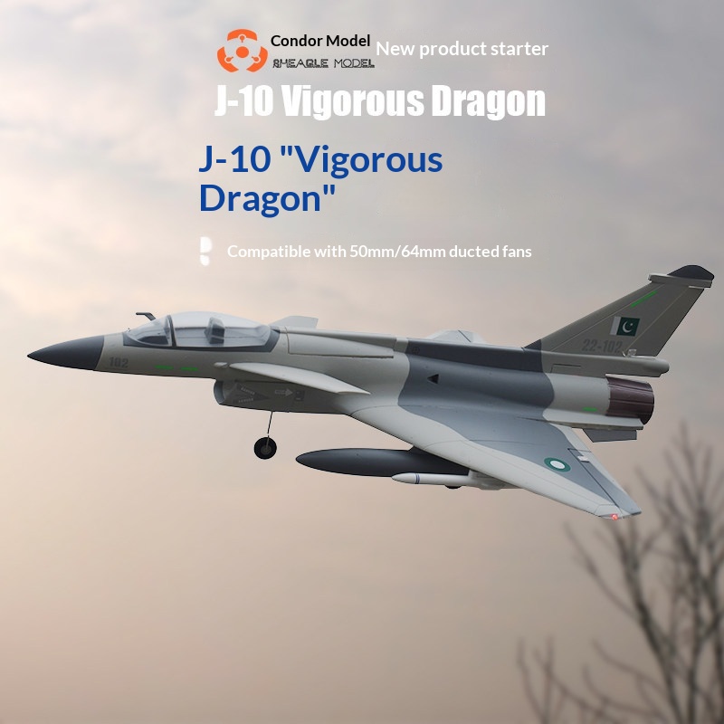 Pesawat Jet Tempur RC SH-EAGLE - Model Kit Jet ulasan dan harga