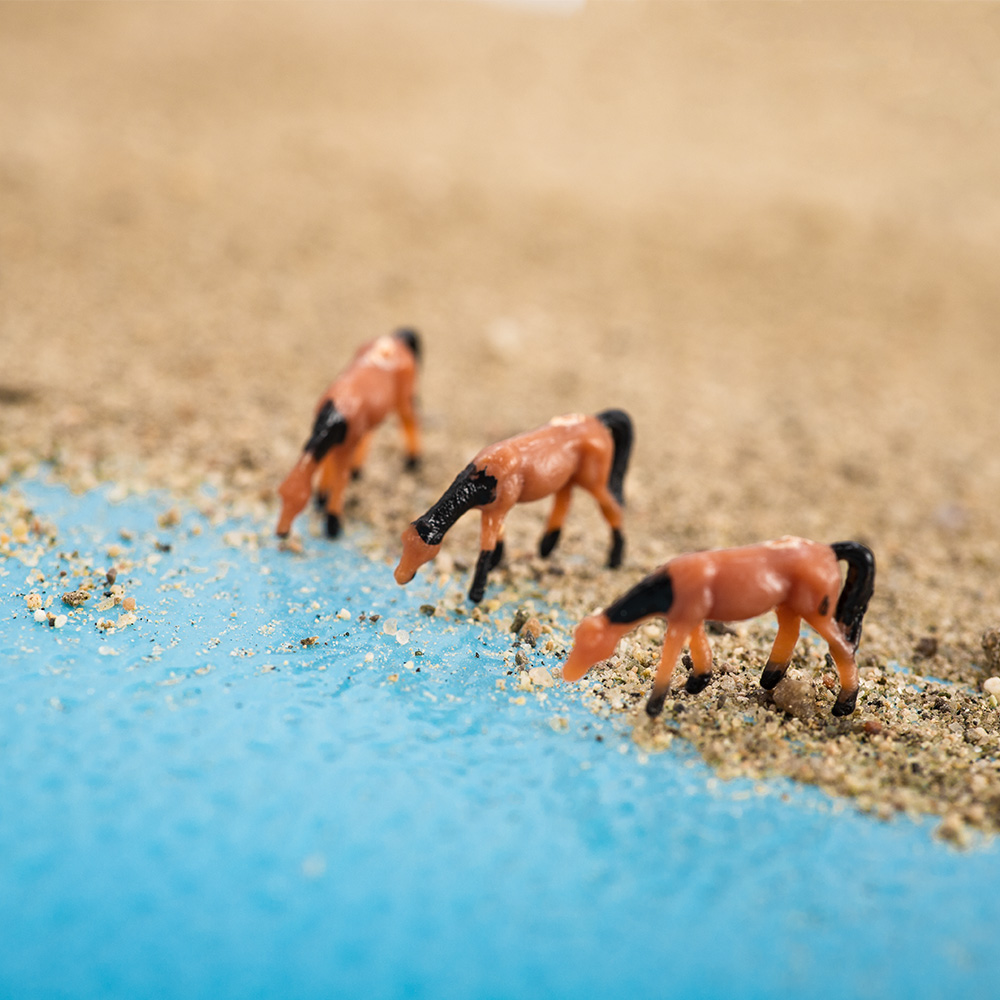Skala 1:150 Miniatur Model Kud - Model Kit Horse ulasan dan harga